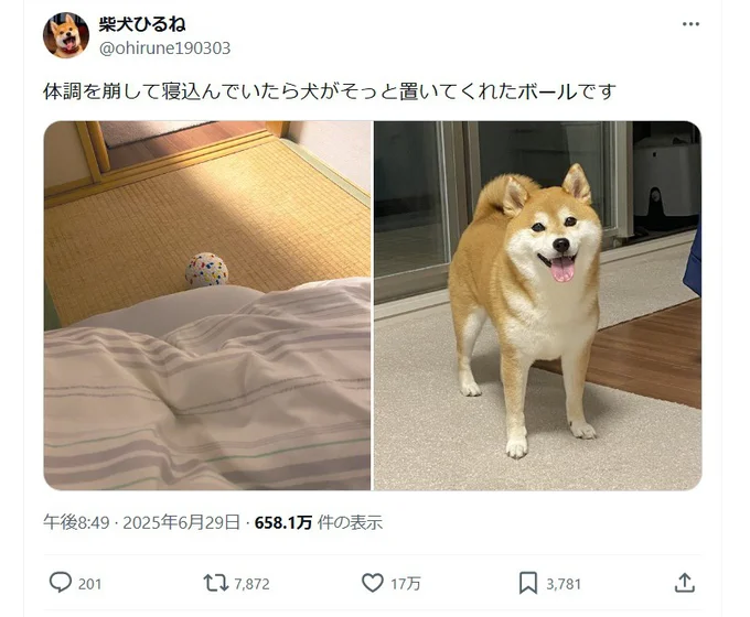 飼い主さんの体調を気遣う優しいひるねちゃんにほっこり▶ひるねちゃんからのお見舞いは…（⇒次へ）