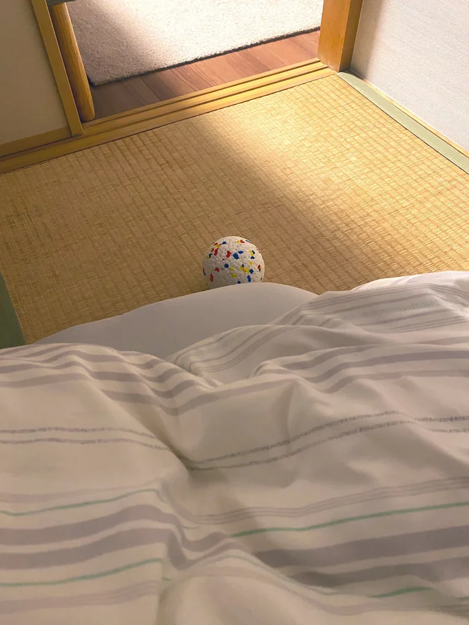 「早く元気になって遊ぼう！」とひるねちゃんからの励ましのボール▶「ボール屋さんですよ～！」（⇒次へ）