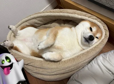 「ミチィ…」状態のひるねちゃん▶謎のあだ名でも反応？！（⇒次へ）