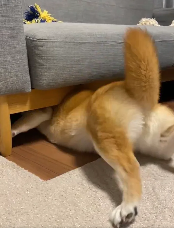 足をバタつかせてドンドン入る！！▶吸い込まれていくひるねちゃんその⑤（⇒次へ）