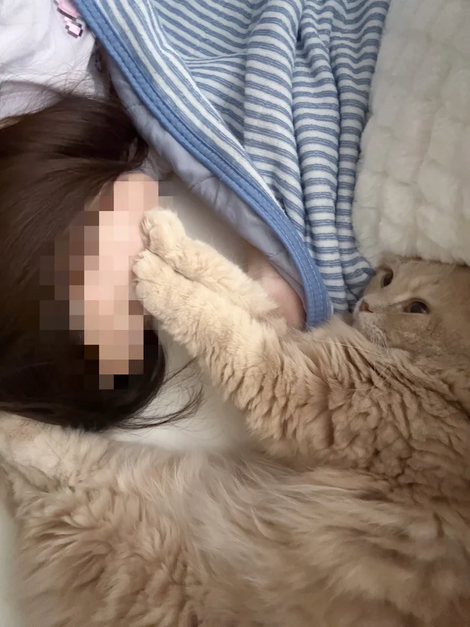 顔にそっと手を置くつきみちゃん！▶つきみちゃんはとっても甘えん坊で（⇒次へ）