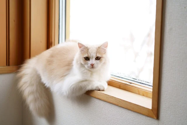 なんか息苦しいなと思ったら…？「憎めない犯人」が7.6万いいねを獲得！