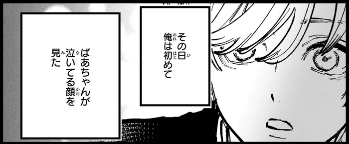 愛されていないと感じていた孫。硬い表情を崩さなかった祖母の涙／金魚屋さんのかりそめ夫婦2（2）