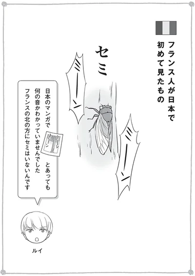 『日本人の知らない日本語3』より