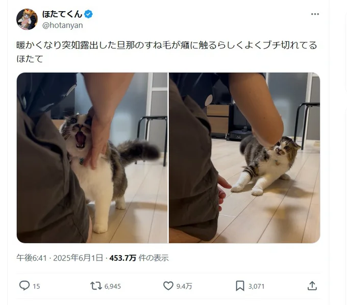 ブチ切れるほたてくんから身を守る!▶ついに、決着のとき…?!(⇒次へ)