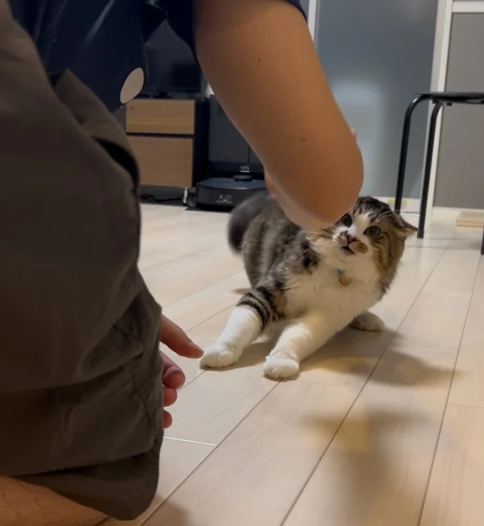 なぜかすね毛が癪にさわるようです…（笑）▶すね毛にブチ切れているほたてくんのポストはこちら（⇒次へ）