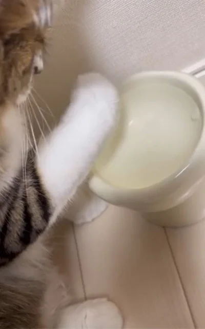 氷は溶けてなくなることに気付いたほたてくん▶戦闘態勢再び…！（⇒次へ）