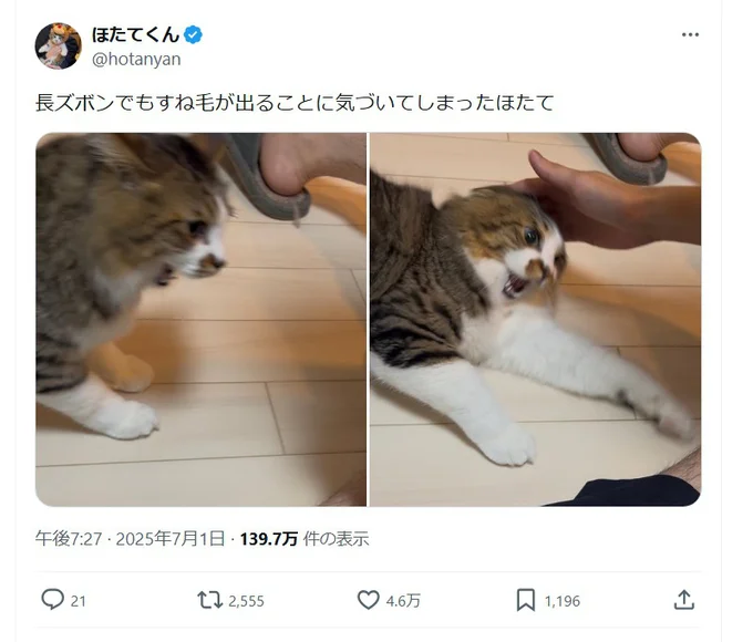 ほたてくんがすね毛を嫌う理由は謎のまま…▶しゅん…としたほたてくん(⇒次へ)