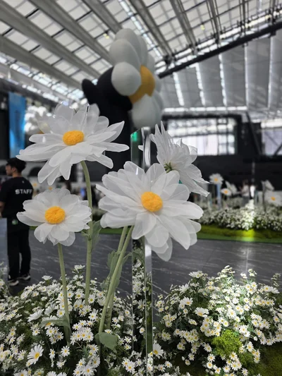 ホンモノのように美しいデイジー
