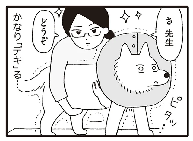 「おさえる」だけに見えるのに！ 動物病院での基本的なお仕事「保定」が奥深い／いぬねこ動物病院日記（2）