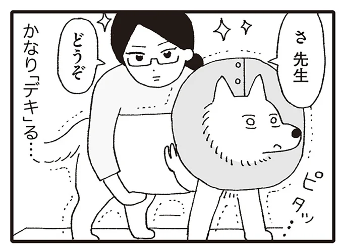 ピタッ