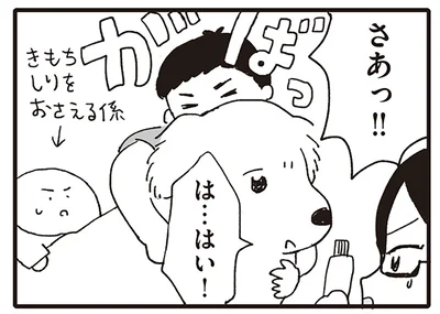 さあっ！！