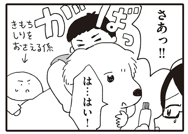 大型犬の耳掃除が大変！ 男性医師がおさえ、ベテラン看護師が受け持つも一苦労で／いぬねこ動物病院日記（3）