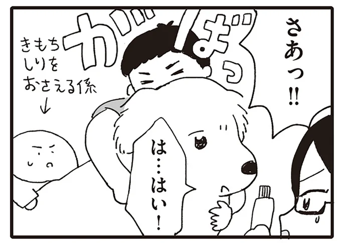 さあっ！！