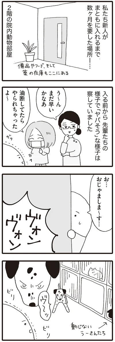 お…おじゃましま～す…