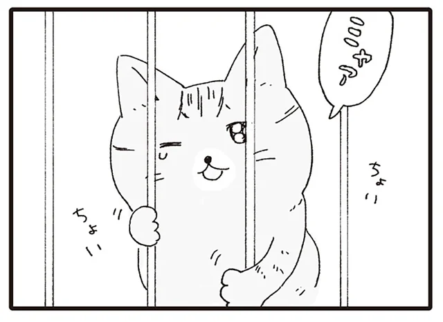 出張中の男性が拾ってきた子猫。人懐っこい態度に動物病院のみんながメロメロ！