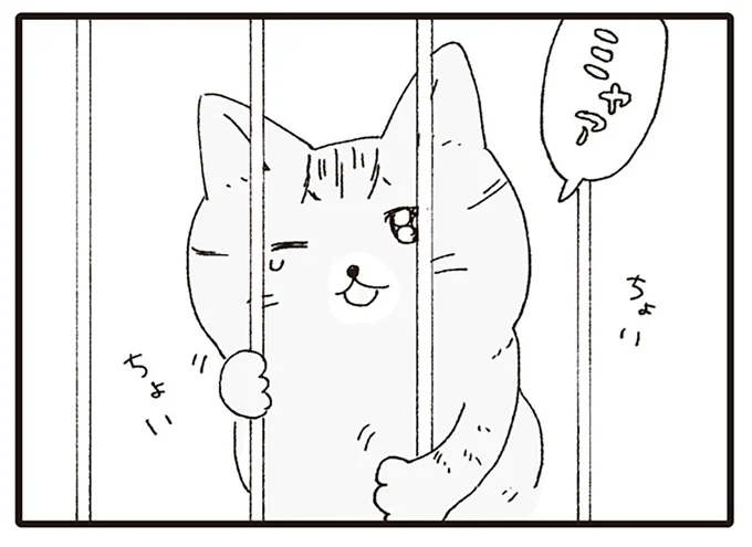出張中の男性が拾った人懐っこい子猫