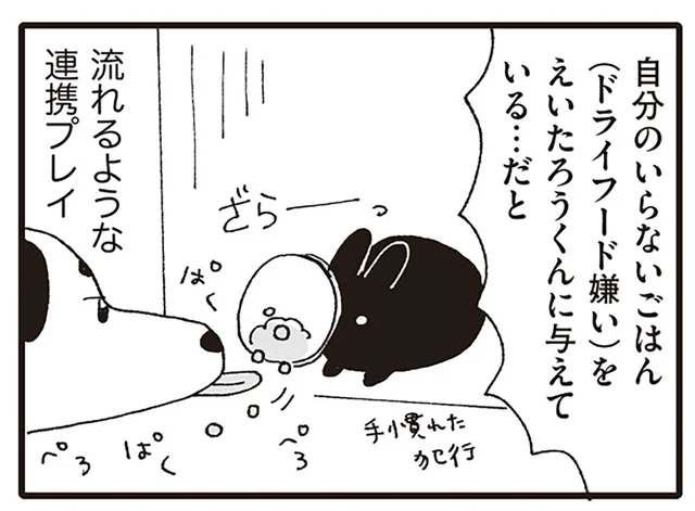 流れるような連携プレイ！ 動物病院の院内犬と院内ウサギの内緒の食事事情