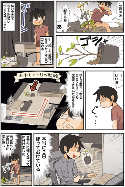 本当に3日ほっておけている