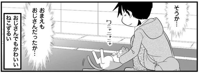 かわいくてずるい！僕と道端で懐いてきたねこの共通点
