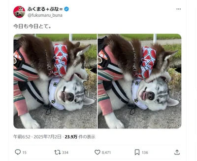 今日もお兄ちゃんをあむあむ食べています▶この後はワンプロに発展？（⇒次へ）