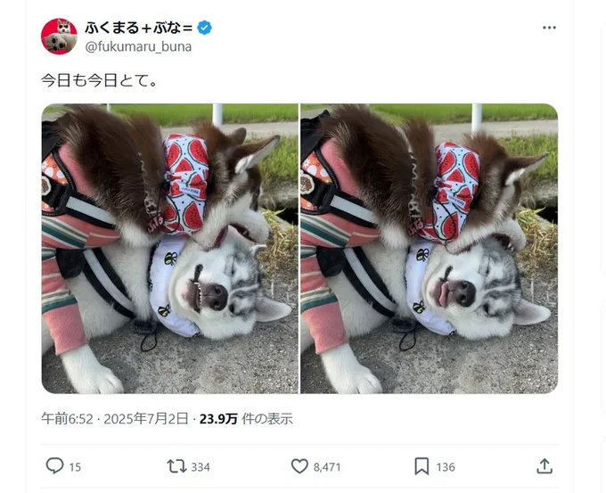 今日もお兄ちゃんをあむあむ食べています▶この後はワンプロに発展？（⇒次へ）