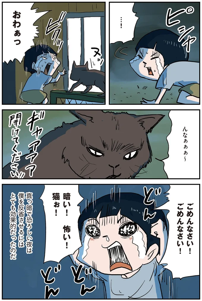 『しなのんちのいくる4』より