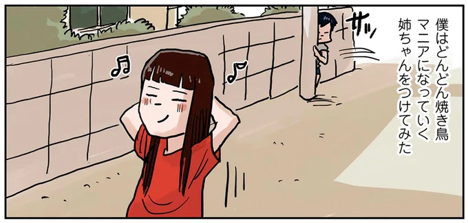 姉ちゃんをつけてみた
