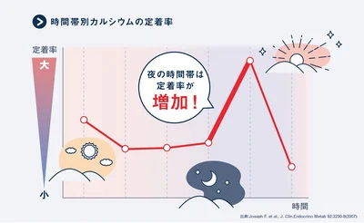 時間別カルシウムの定着率