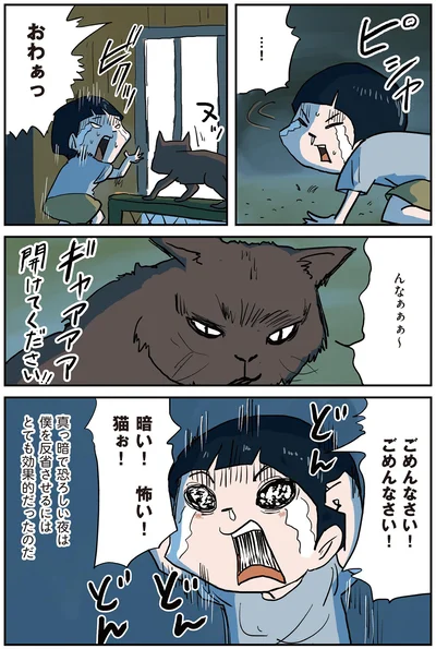 ごめんなさい！ごめんなさい！