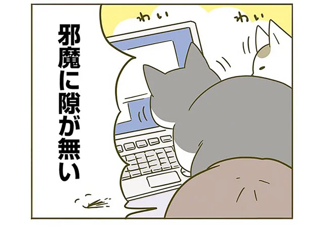 「構え！」邪魔することに余念がない！ 忙しいときに必ず視界に入ってくる猫たち
