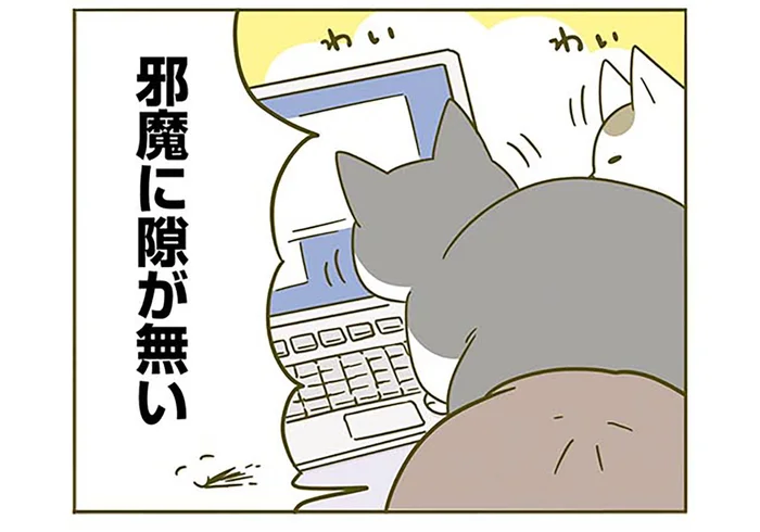 「構え！」邪魔することに余念がない！ 忙しいときに必ず視界に入ってくる猫たち／うちの猫がまた変なことしてる。2（1）