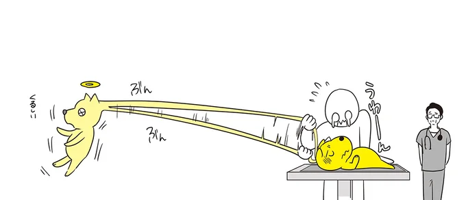 長生きしてほしいけど、苦しませたくない