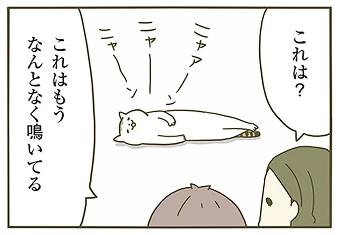 なんとなく鳴いてる猫