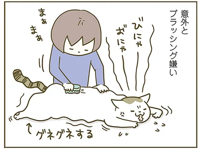 ブラッシング嫌い