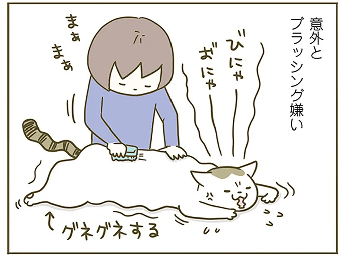 ブラッシング嫌い