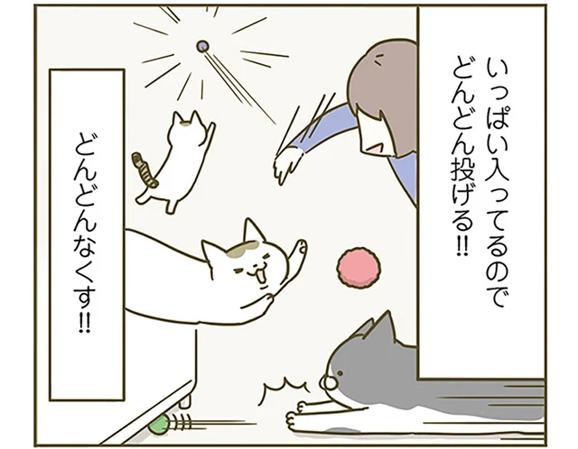 もはやミステリー。猫がよく遊ぶおもちゃ、家のどこかに次々消えていきます