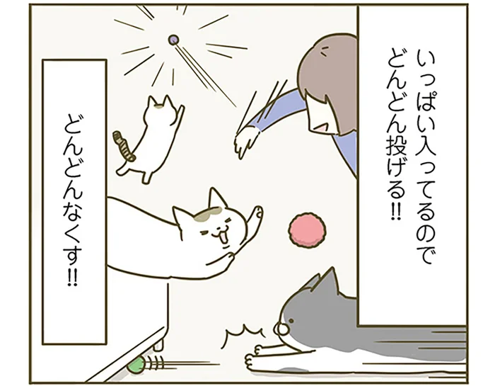 もはやミステリー。猫がよく遊ぶおもちゃ、家のどこかに次々消えていきます