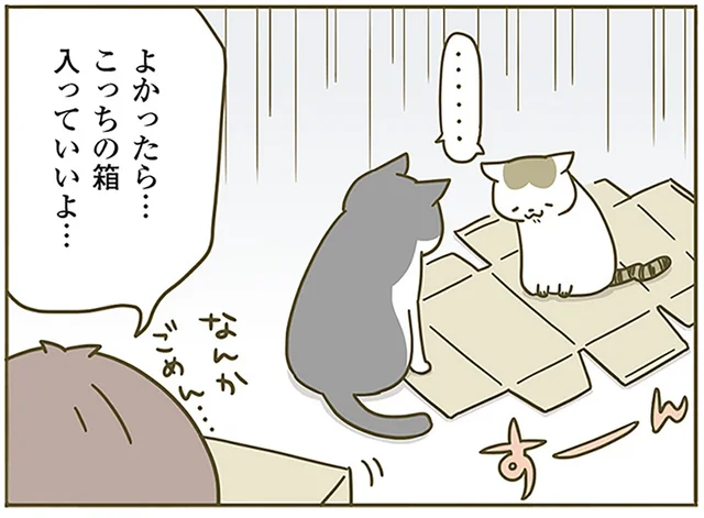 いつの間にか進化している通販のダンボール。でも猫にとっては不評です？