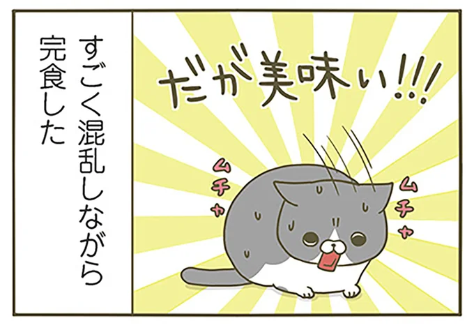 混乱しながらも完食