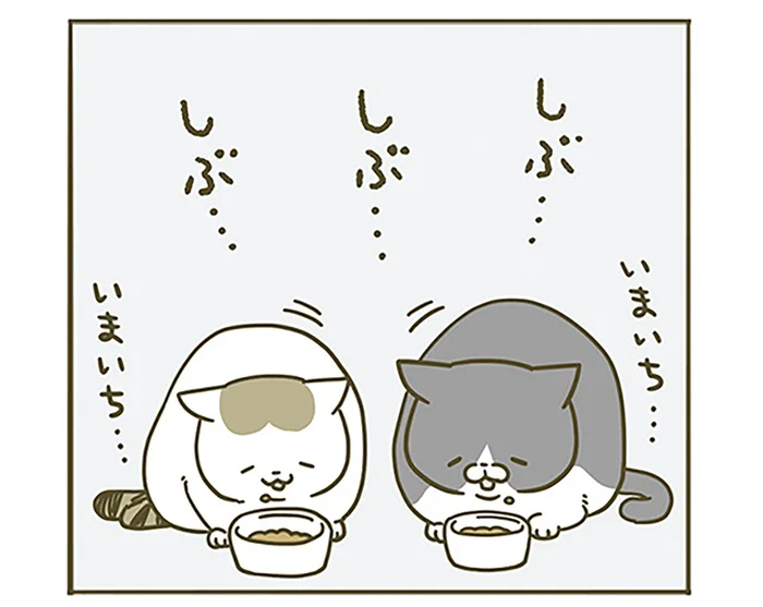 時間を置いても変わりませんよ。好きじゃないごはんを落胆しながら食べる猫