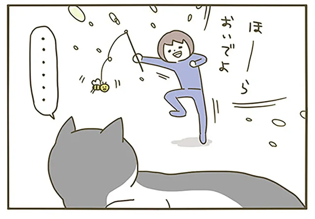 「ほらおいでよ！」飼い主の全力の構いも無視!? 猫のひなたぼっこを邪魔できない日