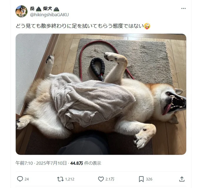 ばばーん！ 足を拭いてもらう態度じゃない！▶実はこれ、「さあ拭きたまえ」のように見えて（⇒次へ）