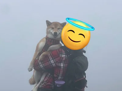 抱っこされるととっても満足そうな顔を見せてくれるそうです！▶眠い時は……（⇒次へ）