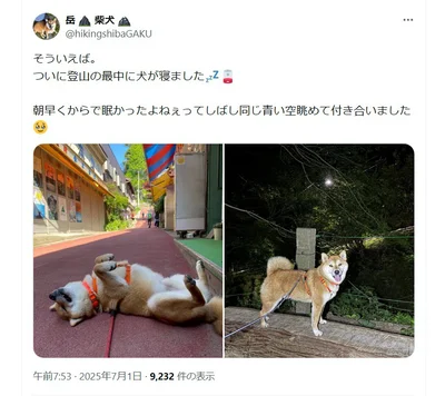 たとえ登山の途中でもすんやり。付き合う飼い主さんも優しい……！▶この日は朝早かったらしく（⇒次へ）