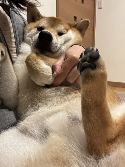 その姿はまさにビッグベイビー！可愛いですね！▶お友達ママの抱っこでも（⇒次へ）