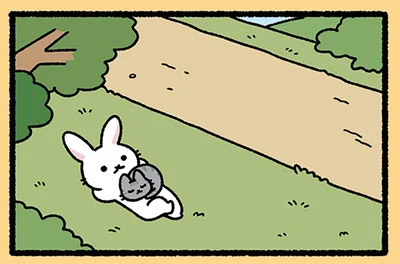 うさぎの上で