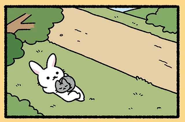 【うさぎとかめとねこ】競争とは一体なんだったのか。うさぎとかめとねこのひととき