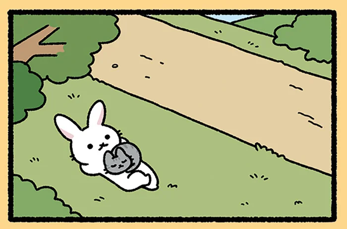 【うさぎとかめとねこ】競争とは一体なんだったのか。うさぎとかめとねこのひととき