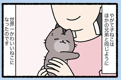 世界一かわいいねこに